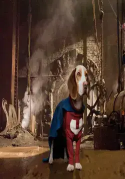 Суперпес (2007) в хорошем качестве скачать торрент файл Суперпес (2007) фильм в хорошем качестве скачать торрент файл