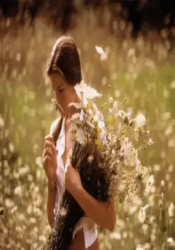 Ускользающая красота (1996) скачать торрент файл Ускользающая красота (1996) фильм скачать торрент файл