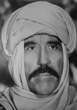 Арабские приключения (1979) в хорошем качестве скачать торрент файл Арабские приключения (1979) фильм в хорошем качестве скачать торрент файл