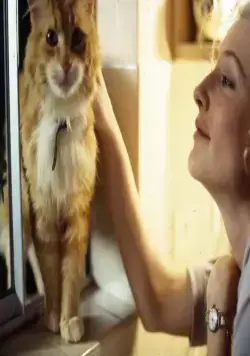 Тайны заблудших душ (2005) скачать торрент бесплатно Тайны заблудших душ (2005) фильм скачать торрент бесплатно