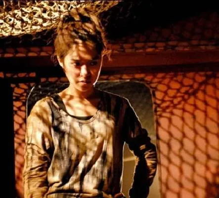 Феникс в ярости (2009) скачать торрент бесплатно Феникс в ярости (2009) фильм скачать торрент бесплатно