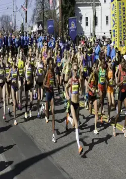 Бостон (2017) скачать торрент бесплатно Бостон (2017) фильм скачать торрент бесплатно