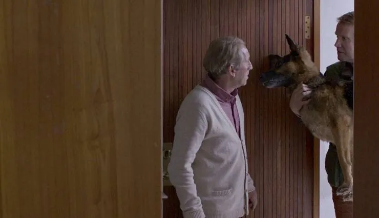 Под деревом (2017) скачать торрент файл Под деревом (2017) фильм скачать торрент файл