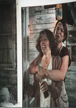 Воры как мы (1974) скачать торрент бесплатно Воры как мы (1974) фильм скачать торрент бесплатно