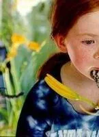 Бабочка (2002) в хорошем качестве скачать торрент файл Бабочка (2002) фильм в хорошем качестве скачать торрент файл