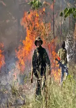 Операция «Возмездие» (2014) в хорошем качестве скачать торрент файл Операция «Возмездие» (2014) фильм в хорошем качестве скачать торрент файл
