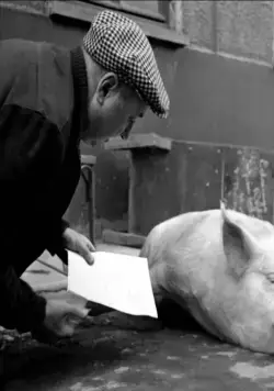 Через Париж (1956) скачать торрент бесплатно Через Париж (1956) фильм скачать торрент бесплатно