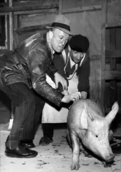 Через Париж (1956) в хорошем качестве скачать торрент файл Через Париж (1956) фильм в хорошем качестве скачать торрент файл