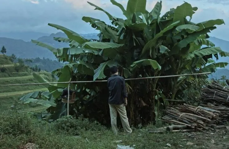 Кайлийская меланхолия (2015) скачать торрент файл Кайлийская меланхолия (2015) фильм скачать торрент файл