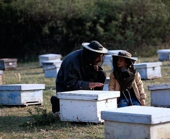 Пчеловод (1986) скачать торрент файл Пчеловод (1986) фильм скачать торрент файл