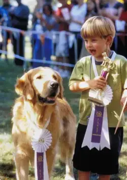 Король воздуха: Возвращение (2003) скачать торрент файл Король воздуха: Возвращение (2003) фильм скачать торрент файл