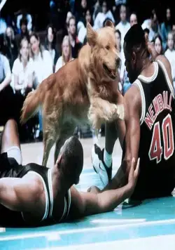 Король воздуха: Золотая лига (1998) скачать торрент файл Король воздуха: Золотая лига (1998) фильм скачать торрент файл