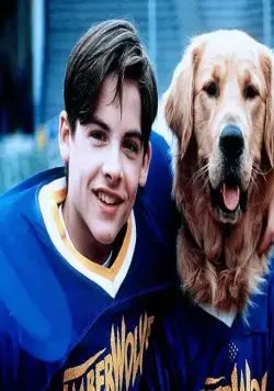 Король воздуха: Золотая лига (1998) скачать торрент бесплатно Король воздуха: Золотая лига (1998) фильм скачать торрент бесплатно