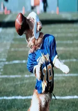 Король воздуха: Золотая лига (1998) в хорошем качестве скачать торрент файл Король воздуха: Золотая лига (1998) фильм в хорошем качестве скачать торрент файл