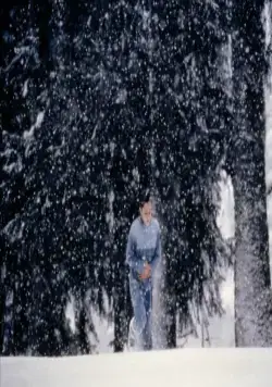 Зимние каникулы (1998) скачать торрент бесплатно Зимние каникулы (1998) фильм скачать торрент бесплатно