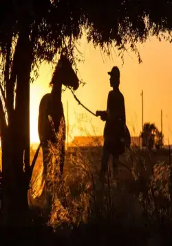 Положитесь на Пита (2017) скачать торрент файл Положитесь на Пита (2017) фильм скачать торрент файл