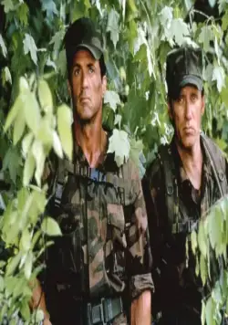 Специалист (1994) скачать торрент бесплатно Специалист (1994) фильм скачать торрент бесплатно