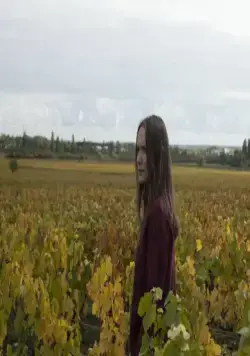 Возвращение в Бургундию (2016) скачать торрент файл Возвращение в Бургундию (2016) фильм скачать торрент файл