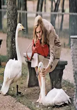 Брюстер МакКлауд (1970) скачать торрент бесплатно Брюстер МакКлауд (1970) фильм скачать торрент бесплатно