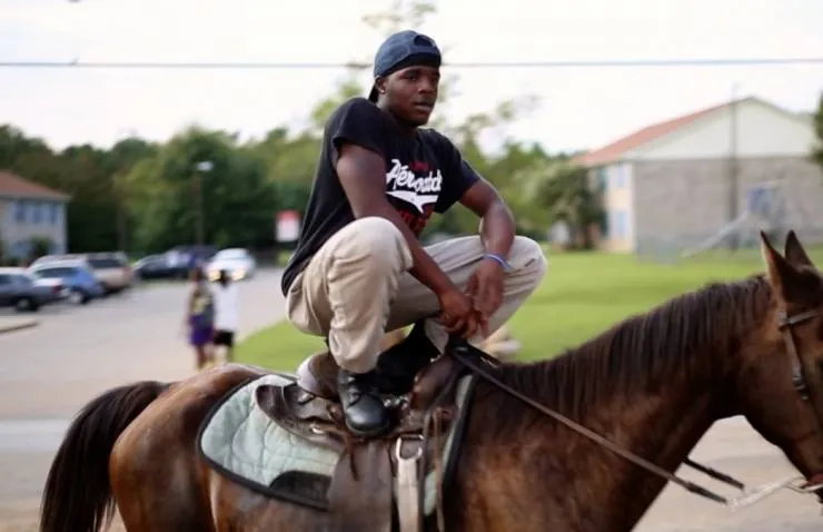 Округ Хейл утром и вечером (2018) скачать торрент файл Округ Хейл утром и вечером (2018) фильм скачать торрент файл