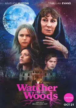 Лесной наблюдатель / The Watcher in the Woods (2017) фильм скачать через торрет бесплатно в хорошем качестве