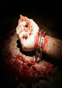 Слуга тьмы (2009) скачать торрент файл Слуга тьмы (2009) фильм скачать торрент файл