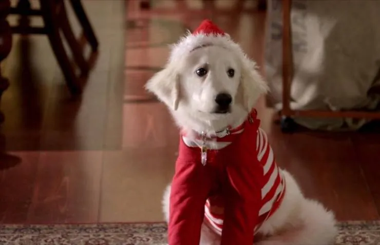 Рождественская пятерка (2009) в хорошем качестве скачать торрент файл Рождественская пятерка (2009) фильм в хорошем качестве скачать торрент файл