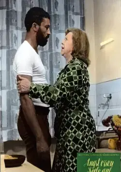 Страх съедает душу (1974) скачать торрент файл Страх съедает душу (1974) фильм скачать торрент файл