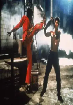 Последний дракон (1985) скачать торрент бесплатно Последний дракон (1985) фильм скачать торрент бесплатно