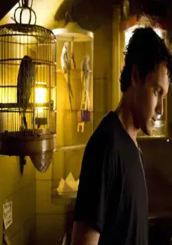 Странный Томас (2013) скачать торрент файл Странный Томас (2013) фильм скачать торрент файл