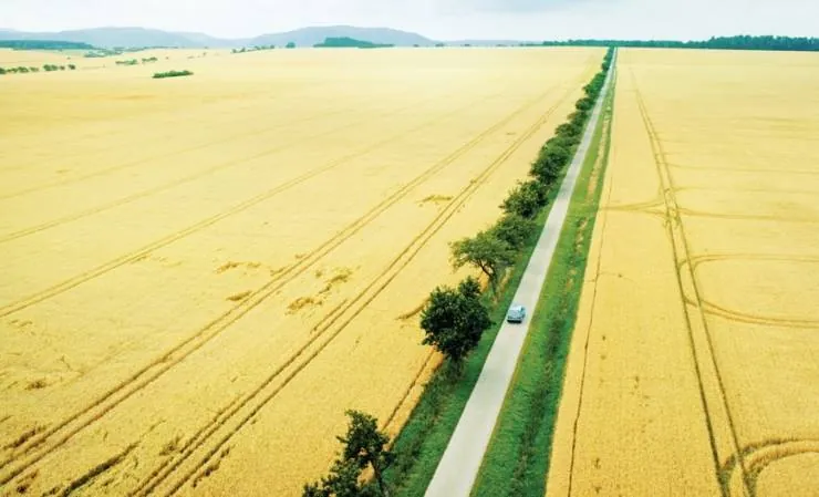 Гуд бай, Берлин! (2016) скачать торрент бесплатно Гуд бай, Берлин! (2016) фильм скачать торрент бесплатно