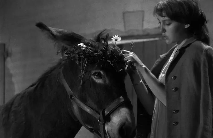 Наудачу, Бальтазар (1966) скачать торрент файл Наудачу, Бальтазар (1966) фильм скачать торрент файл