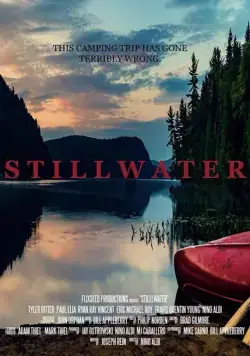 Тихие воды / Stillwater (2018) фильм скачать через торрет бесплатно в хорошем качестве