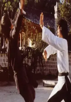 Кулак дракона (1979) в хорошем качестве скачать торрент файл Кулак дракона (1979) фильм в хорошем качестве скачать торрент файл