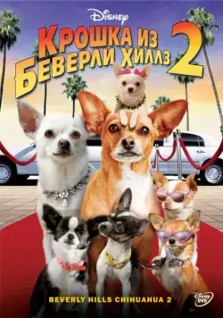 Крошка из Беверли-Хиллз 2 / Beverly Hills Chihuahua 2 (2010) фильм скачать через торрет бесплатно в хорошем качестве