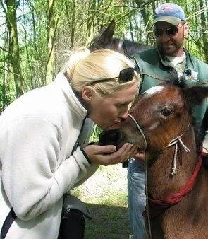 Рожденный свободным (2005) скачать торрент бесплатно Рожденный свободным (2005) фильм скачать торрент бесплатно