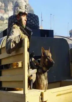 Меган Ливи (2017) в хорошем качестве скачать торрент файл Меган Ливи (2017) фильм в хорошем качестве скачать торрент файл