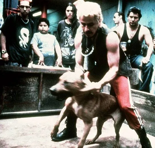 Сука-любовь (2000) скачать торрент файл Сука-любовь (2000) фильм скачать торрент файл