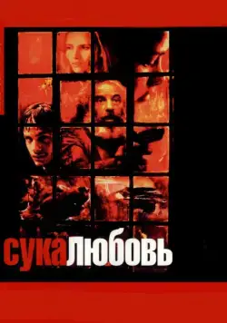 Сука-любовь / Amores perros (2000) фильм скачать через торрет бесплатно в хорошем качестве