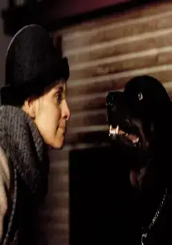 Нужные вещи (1993) скачать торрент бесплатно Нужные вещи (1993) фильм скачать торрент бесплатно