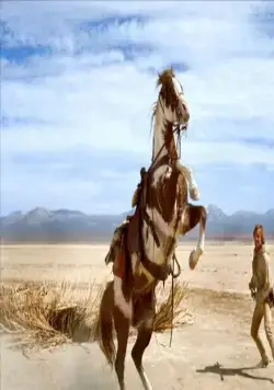 Идальго: Погоня в пустыне (2004) скачать торрент файл Идальго: Погоня в пустыне (2004) фильм скачать торрент файл