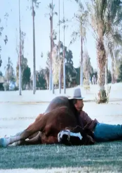 Ренегат (1987) скачать торрент бесплатно Ренегат (1987) фильм скачать торрент бесплатно