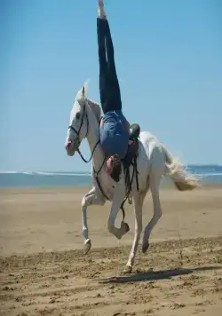 В равновесии (2014) скачать торрент файл В равновесии (2014) фильм скачать торрент файл