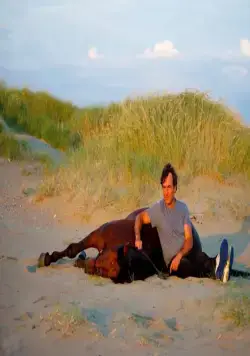 В равновесии (2014) скачать торрент бесплатно В равновесии (2014) фильм скачать торрент бесплатно