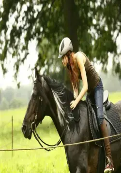 Восточный ветер (2013) скачать торрент файл Восточный ветер (2013) фильм скачать торрент файл