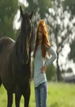 Восточный ветер (2013) в хорошем качестве скачать торрент файл Восточный ветер (2013) фильм в хорошем качестве скачать торрент файл