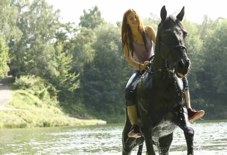 Восточный ветер (2013) скачать торрент бесплатно Восточный ветер (2013) фильм скачать торрент бесплатно