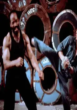 Клетка тигра 2 (1990) скачать торрент бесплатно Клетка тигра 2 (1990) фильм скачать торрент бесплатно