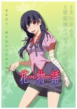 История цветов / Hanamonogatari (2014) cериал мультфильм аниме скачать через торрет бесплатно в хорошем качестве