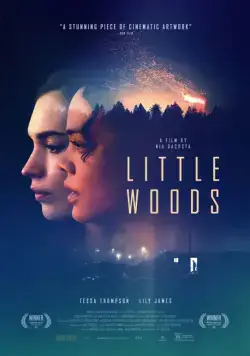 Лесок / Little.Woods (2018) фильм скачать через торрет бесплатно в хорошем качестве